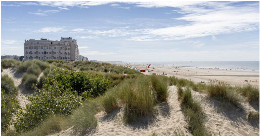 Bild von einem Strand in Belgien
