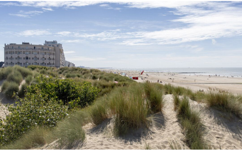 Bild von einem Strand in Belgien